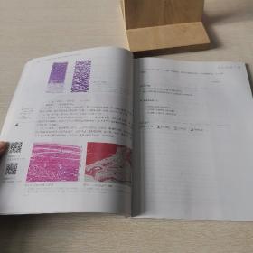 医学形态学实验（组织学与胚胎学分册）（第2版）