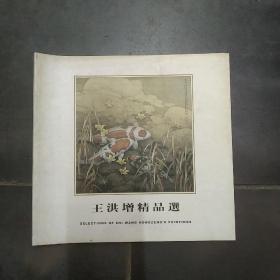 王洪增精品选