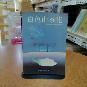 白色山茶花