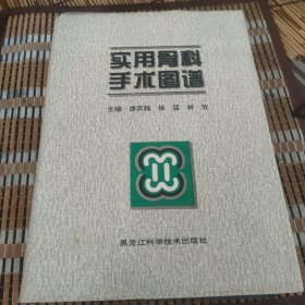 实用骨科手术图谱