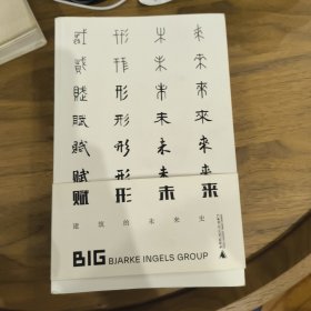 赋形未来 BIG 广西师范 一版一印