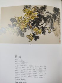 散页美术资料（印刷品）———书画——-菊花【康生】，竹石图【张石园】，梅花【高煃】，菊隐图【汪士慎】2099