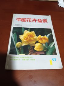 中国花卉盆景 1997年上半年六册