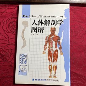 人体解剖学图谱