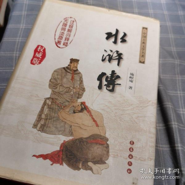 中国古典文学名著：水浒传（权威版）