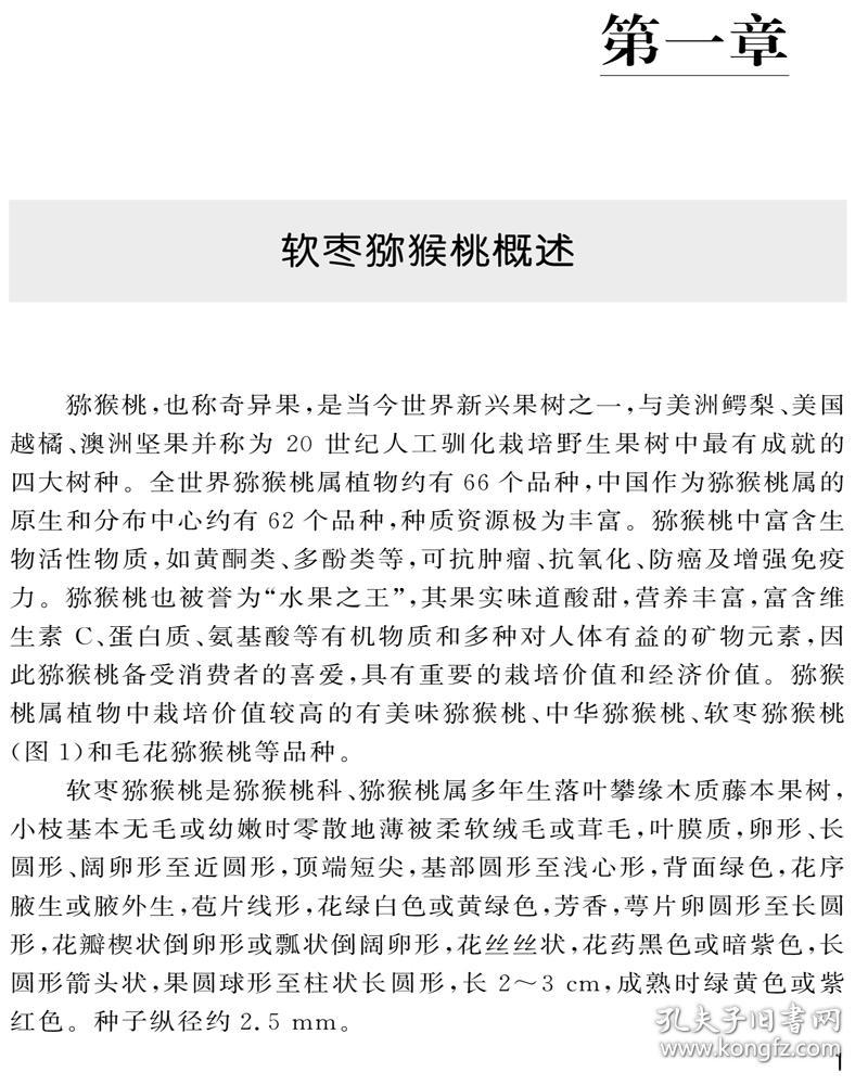 软枣猕猴桃丰产及病虫害防治 普通图书/工程技术 田晓 中国农业大学 9787565526633