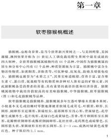 软枣猕猴桃丰产及病虫害防治 普通图书/工程技术 田晓 中国农业大学 9787565526633