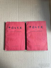 中国文学史（上下册）