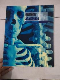 解剖学一览 Anatomy at a Glance