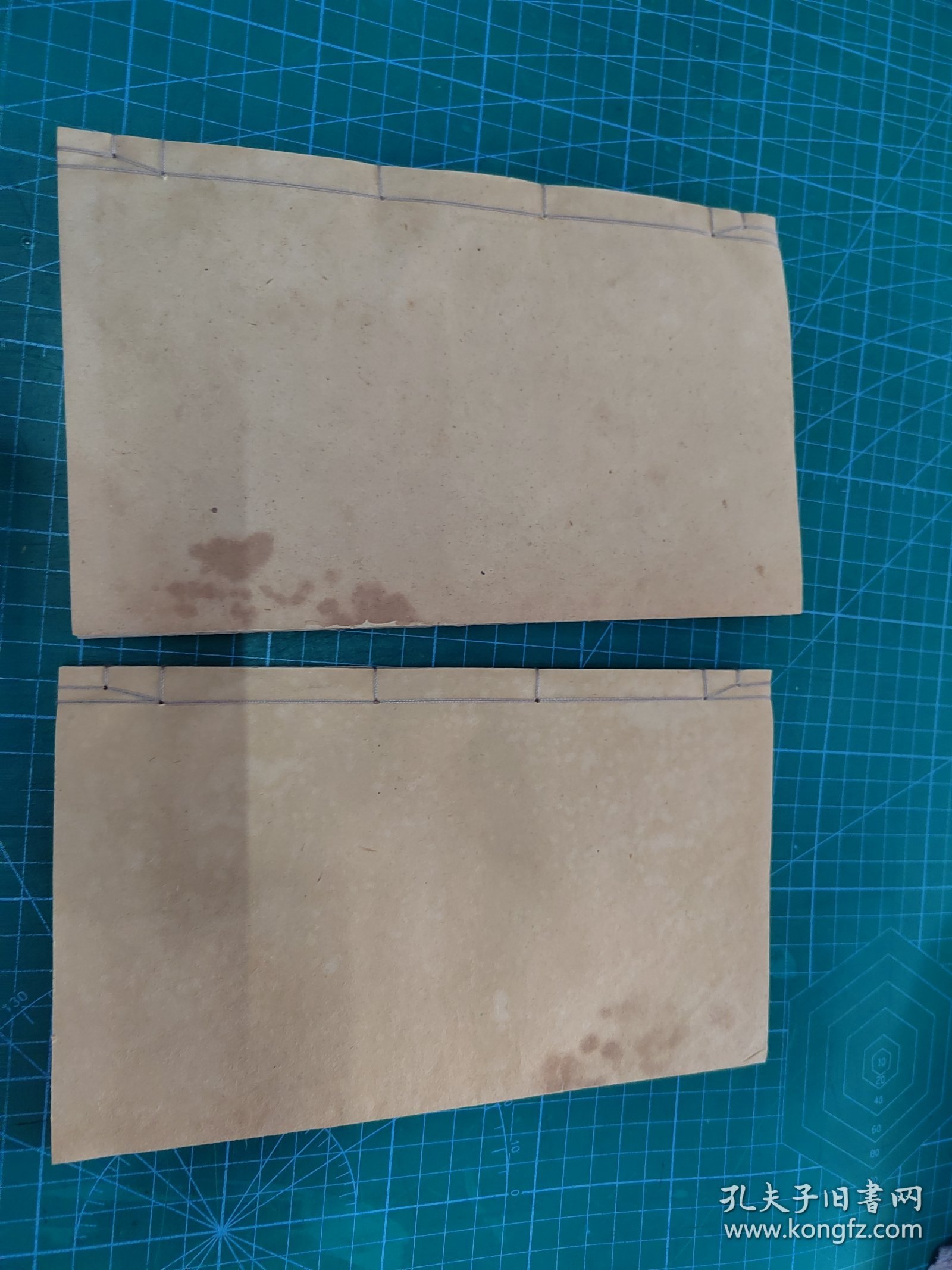 中医秘密，蝇头小楷中医手抄秘方医书