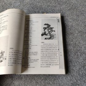 【正版二手】中华古典诗词：图文本