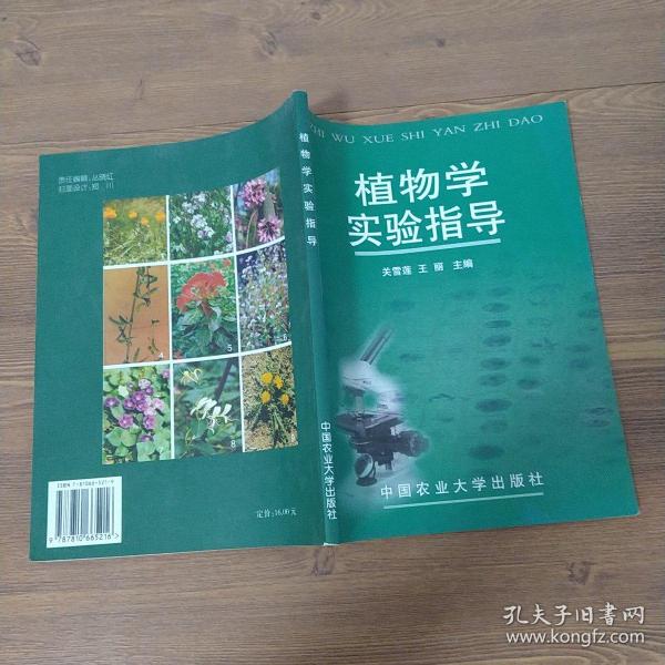 植物学实验指导