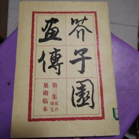 芥子园画传 第三集 翎花毛卉