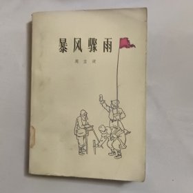 暴风骤雨