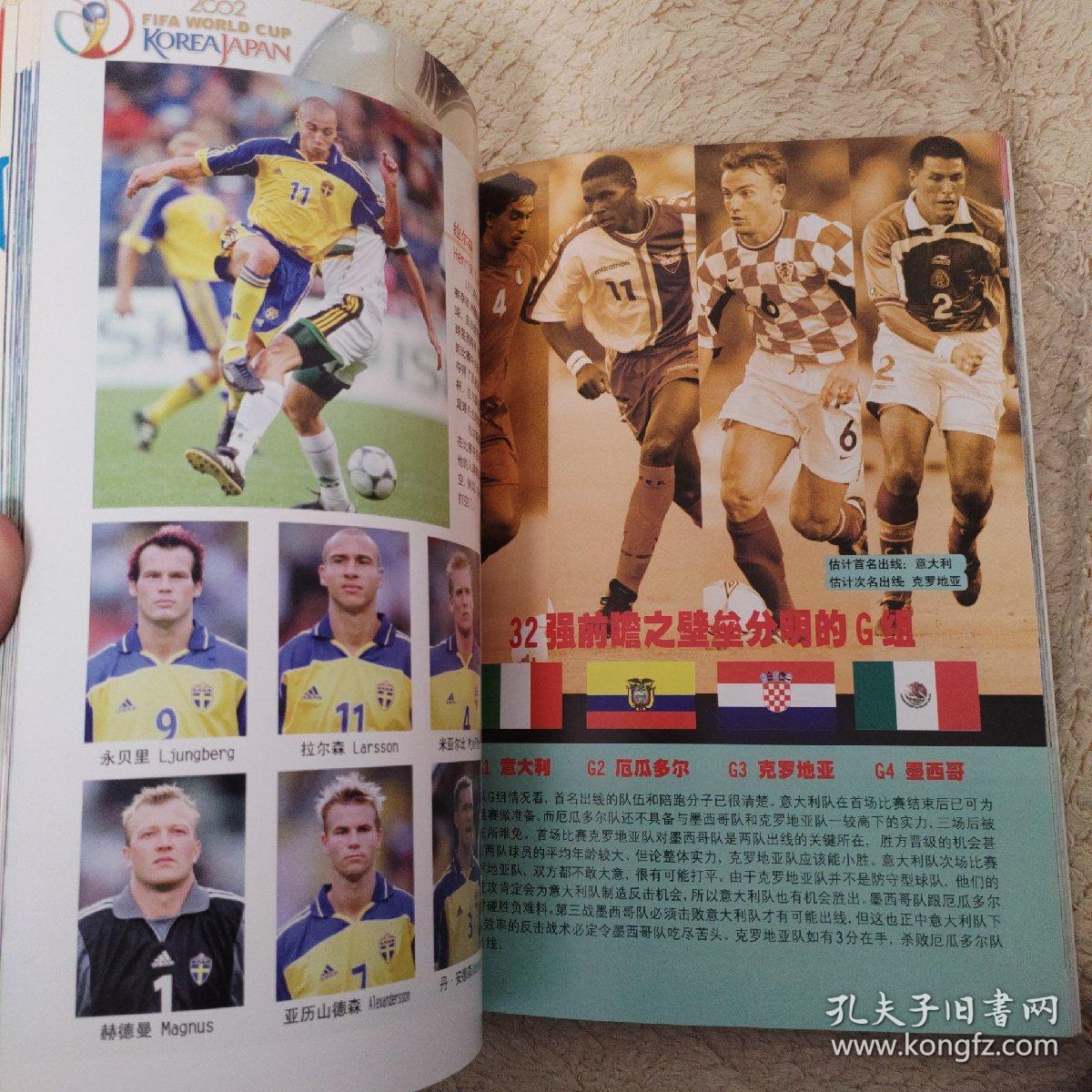2002世界杯列强专集.东瀛战区