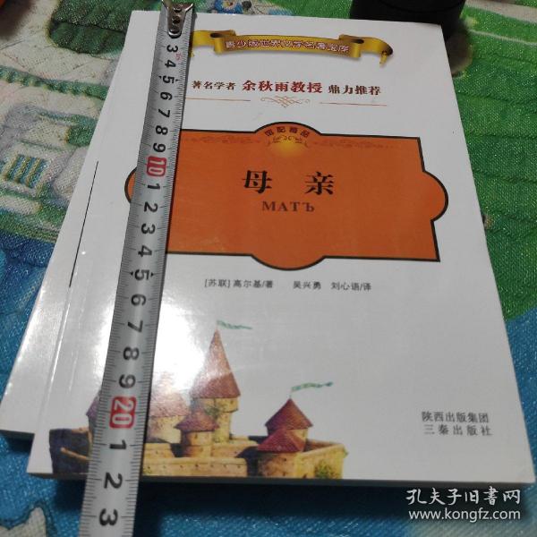 世界文学名著宝库：母亲（名家名译双色插图）（青少版）