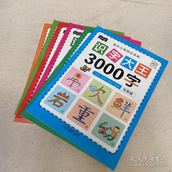 幼儿学前识字大王3000字全套6册 幼小衔接一日一练全套识字教材 幼儿园大班中班小班一年级3-4-5-6岁幼升小看图识字神器儿童启蒙早教认字书