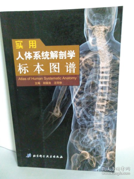 人体系统解剖学标本图谱