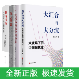 制内市场+保卫社会+共同富裕的中国方案等共4册