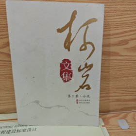 柯岩文集：第3卷·小说