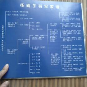 民族魂：纪念杨靖宇将军诞辰九十五周年 5开本 2001年1版1印（全铜版印 自然旧 有现货 实拍图片）