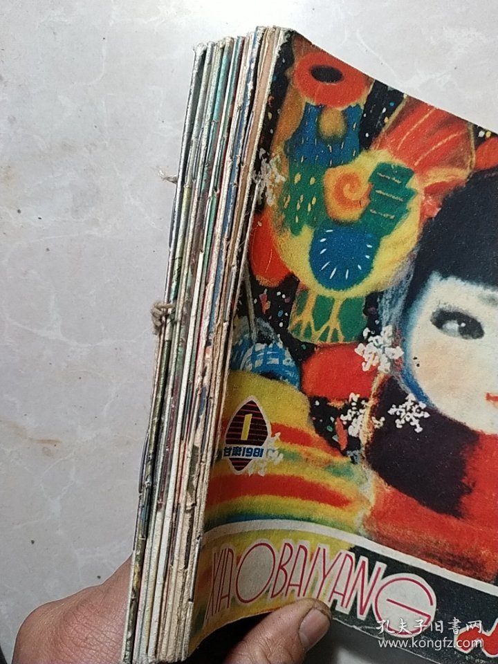 小白杨甘肃1981年12全