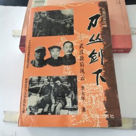 刀丛剑下:武汉敌后风云