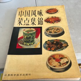 中国风味菜点集锦 1988一版一印