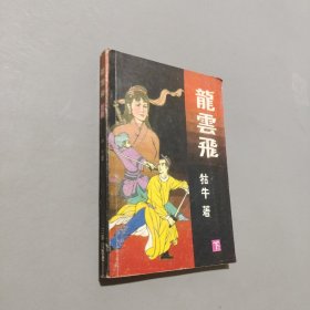 龙云飞