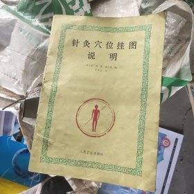 针灸穴位挂图