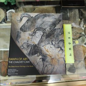 1976年 艺术起源 最古老的绘画 肖肯洞穴DAWN OF ART: THE CHAUVET CAVE The Oldest Known Paintings in the World Jean-Marie Chauvet Eliete Brunel Deschamps Chistian Hillaire hlogue by Jean Clones大16开135页。
