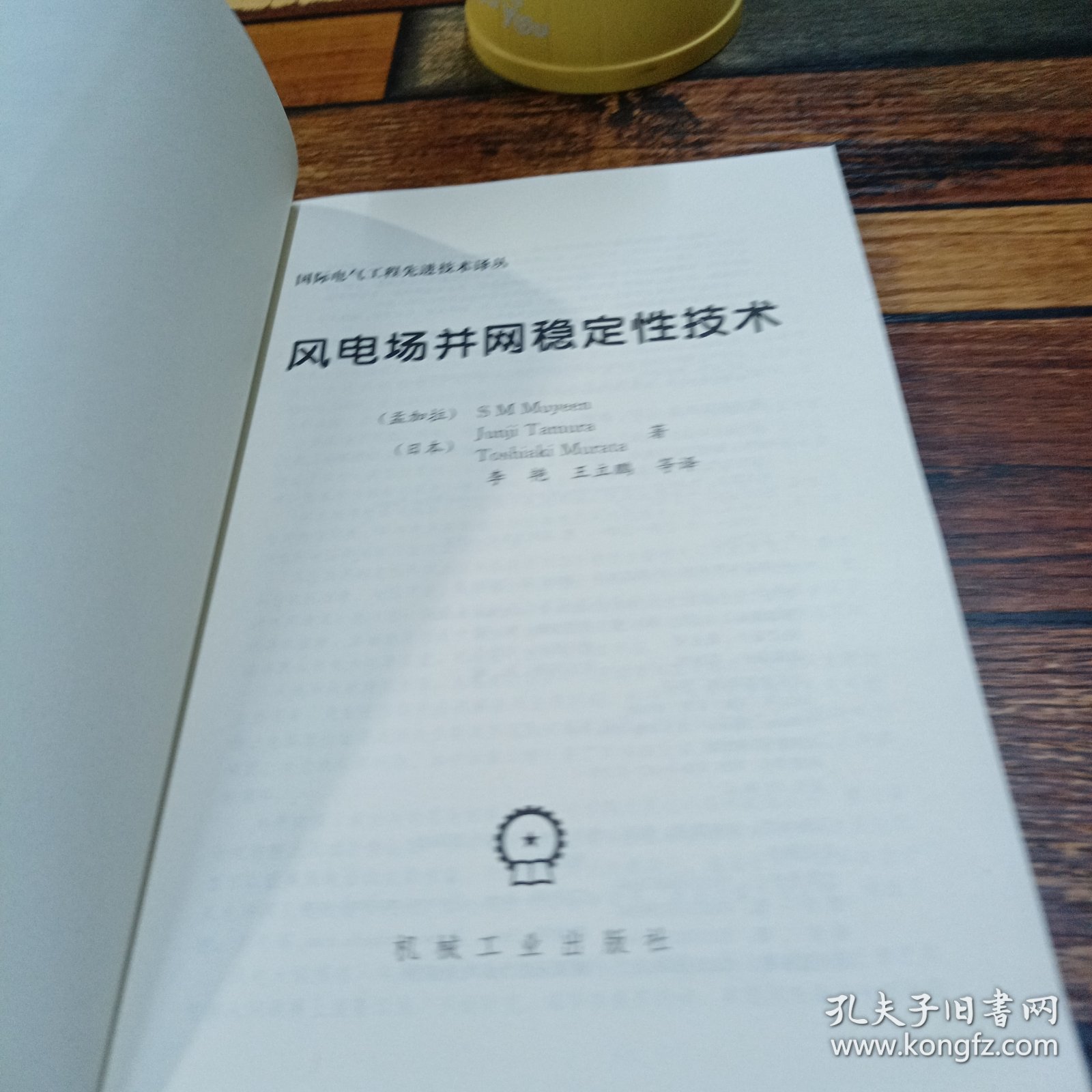 风电场并网稳定性技术