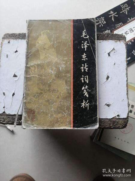 毛泽东诗词笺析