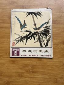 大连羽毛画
