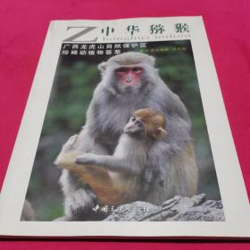 中华猕猴 : 广西龙虎山自然保护区