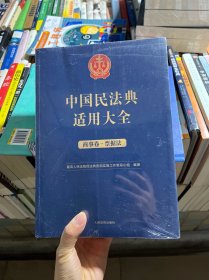 中国民法典适用大全