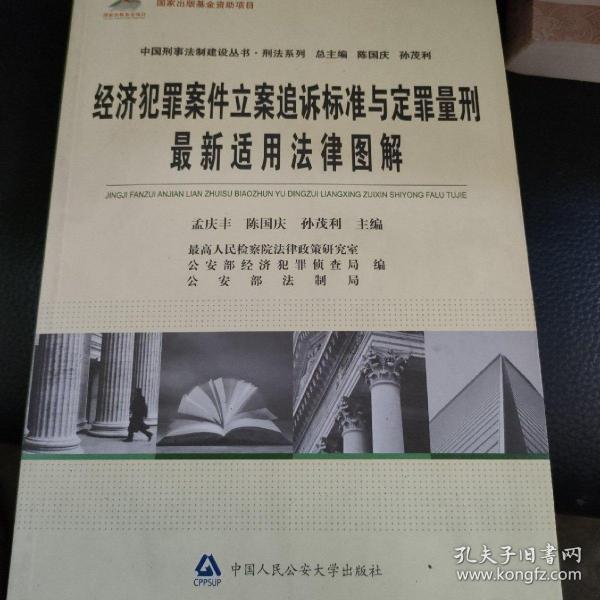 中国刑事法制建设丛书·刑法系列：经济犯罪案件立案追诉标准与定罪量刑最新适用法律图解