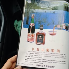 80年代吉林长白山葡萄酒，广西南宁罐头食品厂广告彩页一张