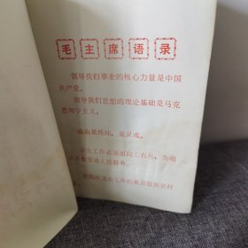 云南思茅中草药选