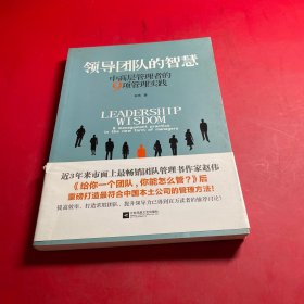 领导团队的智慧：中高层管理者的９项管理实践