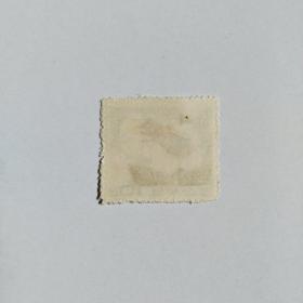 朝鲜1963年甲虫盖销邮票1枚。