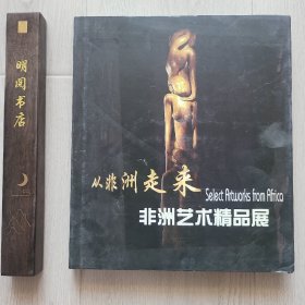 从非洲走来非洲艺术精品展