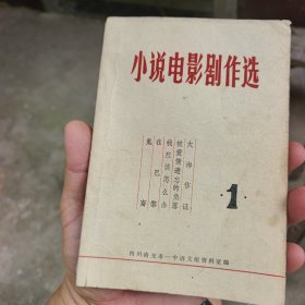 小说电影剧作选1