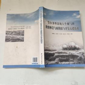 鄂尔多斯盆地大牛地气田致密砂岩气藏勘探与开发关键技术