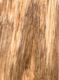 种植 奇楠香木料