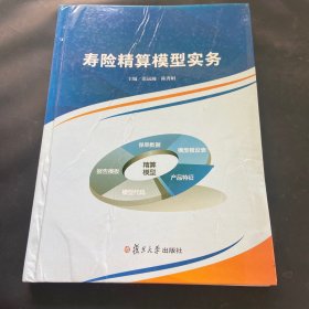 寿险精算模型实务