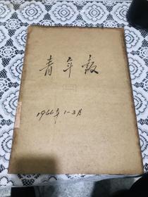 青年报1966年1一3月合订本