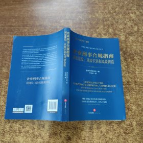 企业刑事合规指南：制度建设、风险识别和风险防范