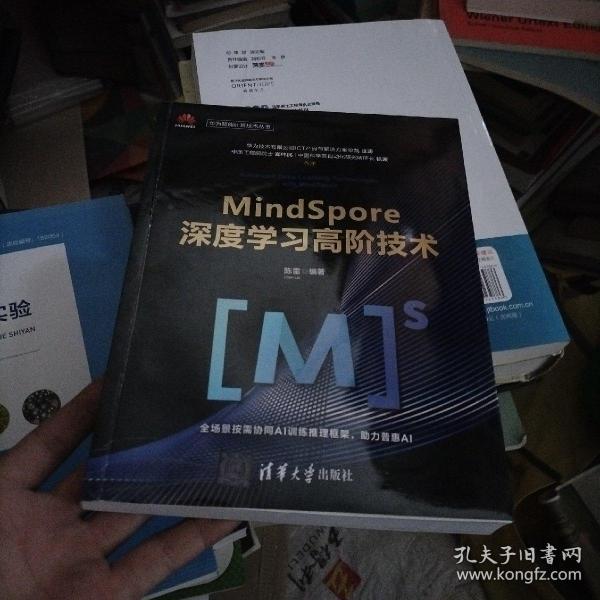 MindSpore深度学习高阶技术