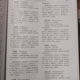 武定县地名志